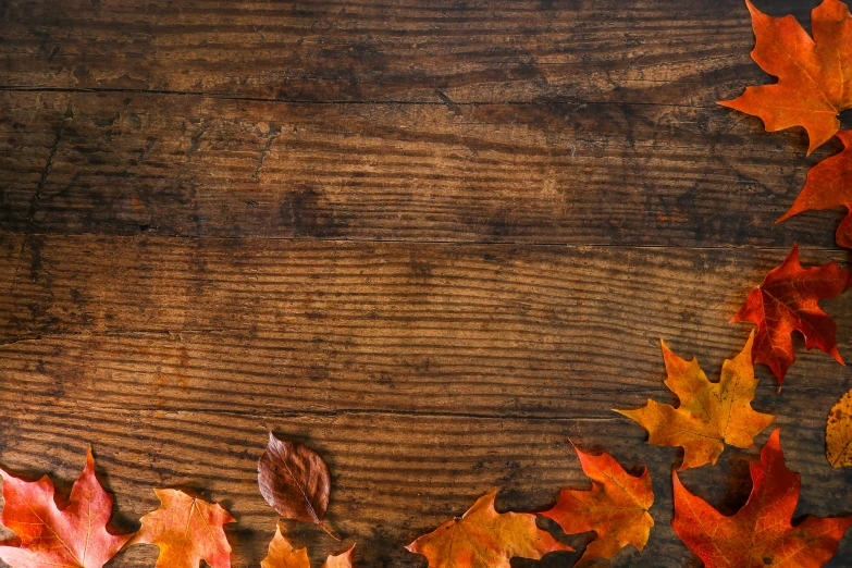 an image of autumn leaves arranged on a wooden background