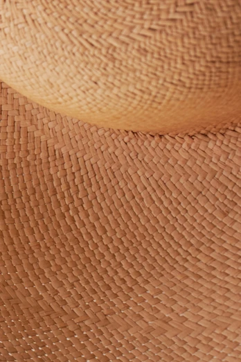 an elephant's skin textured with natural brown color