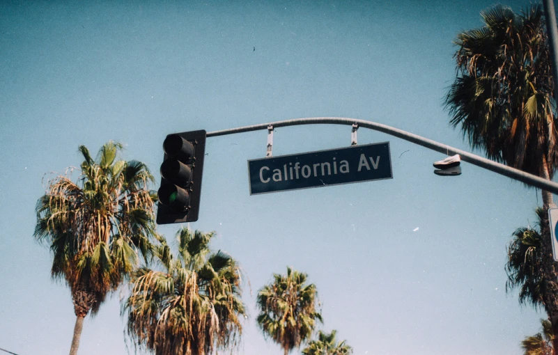 two palm trees on a clear day