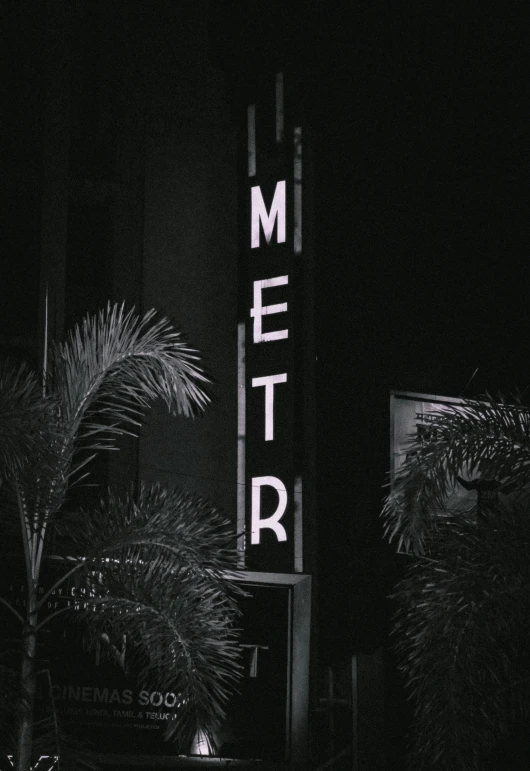 a sign lit up in the dark with a palm tree