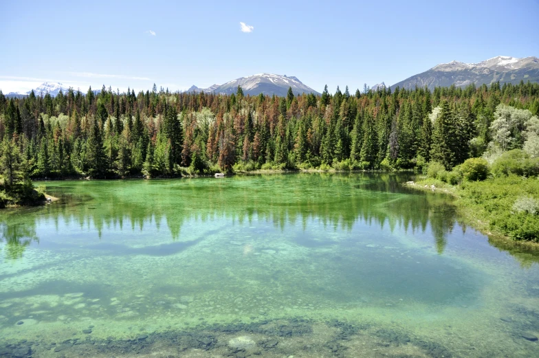 clear green lake surrounded by pine trees and mountains