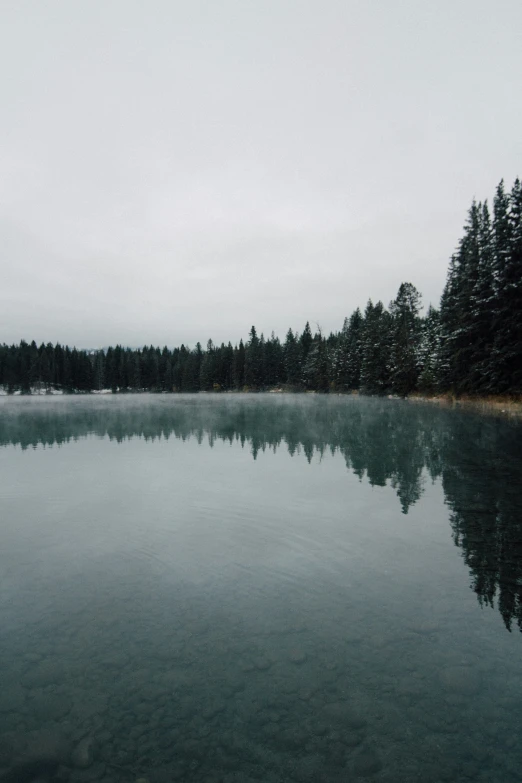 a lake surrounded by pine trees in the foreground