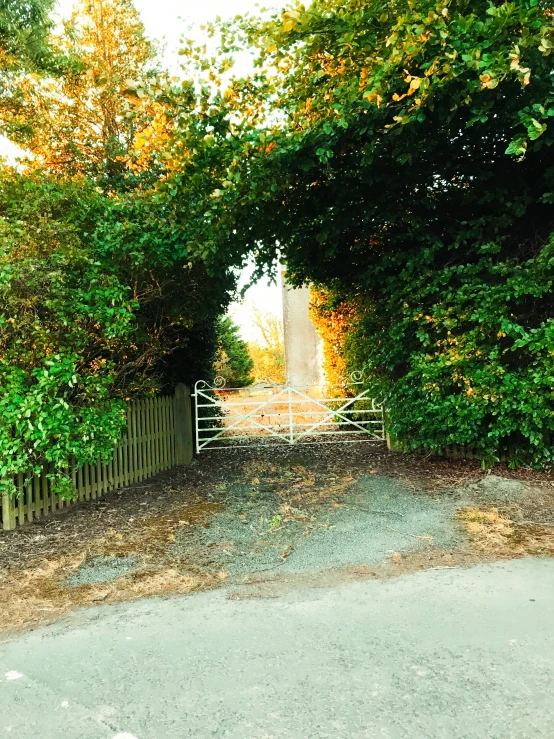 an empty road is pictured through a gate