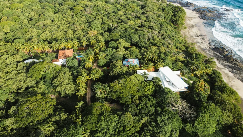 an aerial view of a forested area next to the ocean