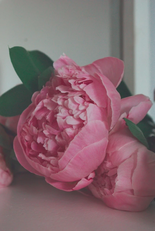 pink flowers on the table by a mirror