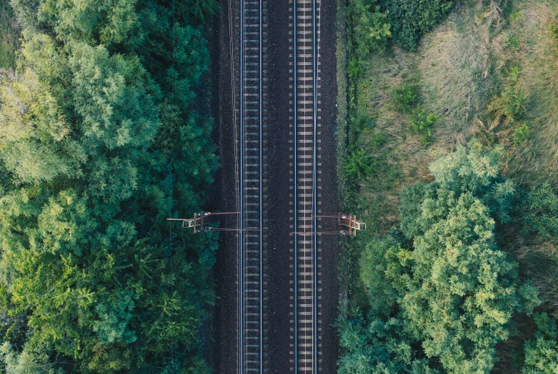 two sets of railroad tracks surrounded by trees