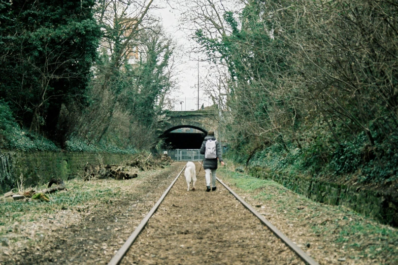 a person walks down the tracks with a dog on a leash