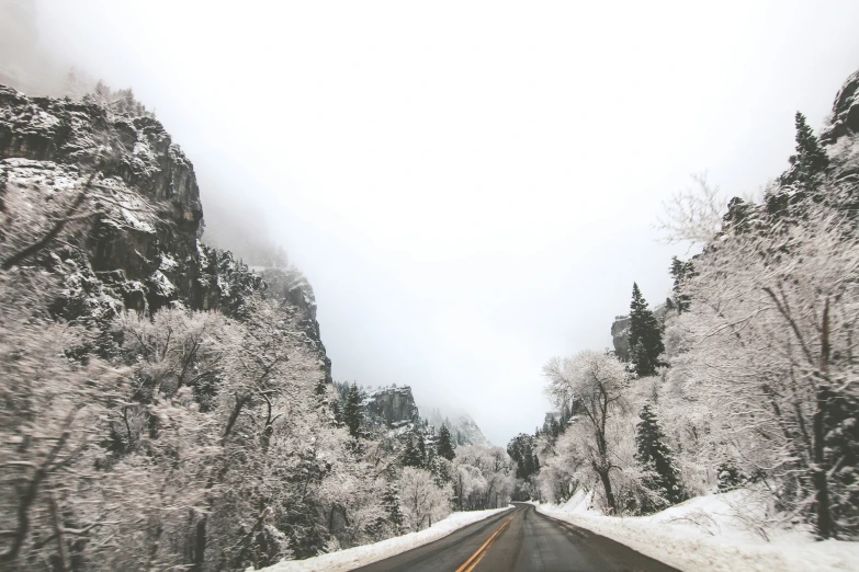 a road with snow on the ground in between some trees