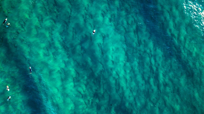 a aerial view of people swimming and parasailing in the ocean