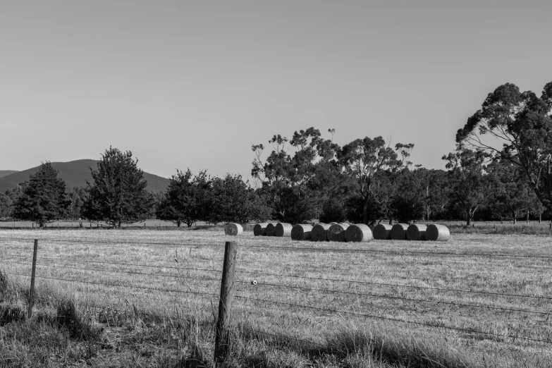 bales of hay line the fence as it sits in a field