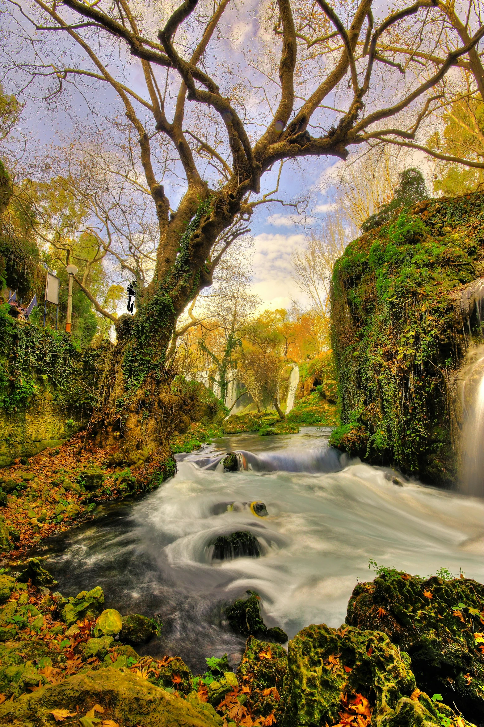 a small waterfall cascading in the forest