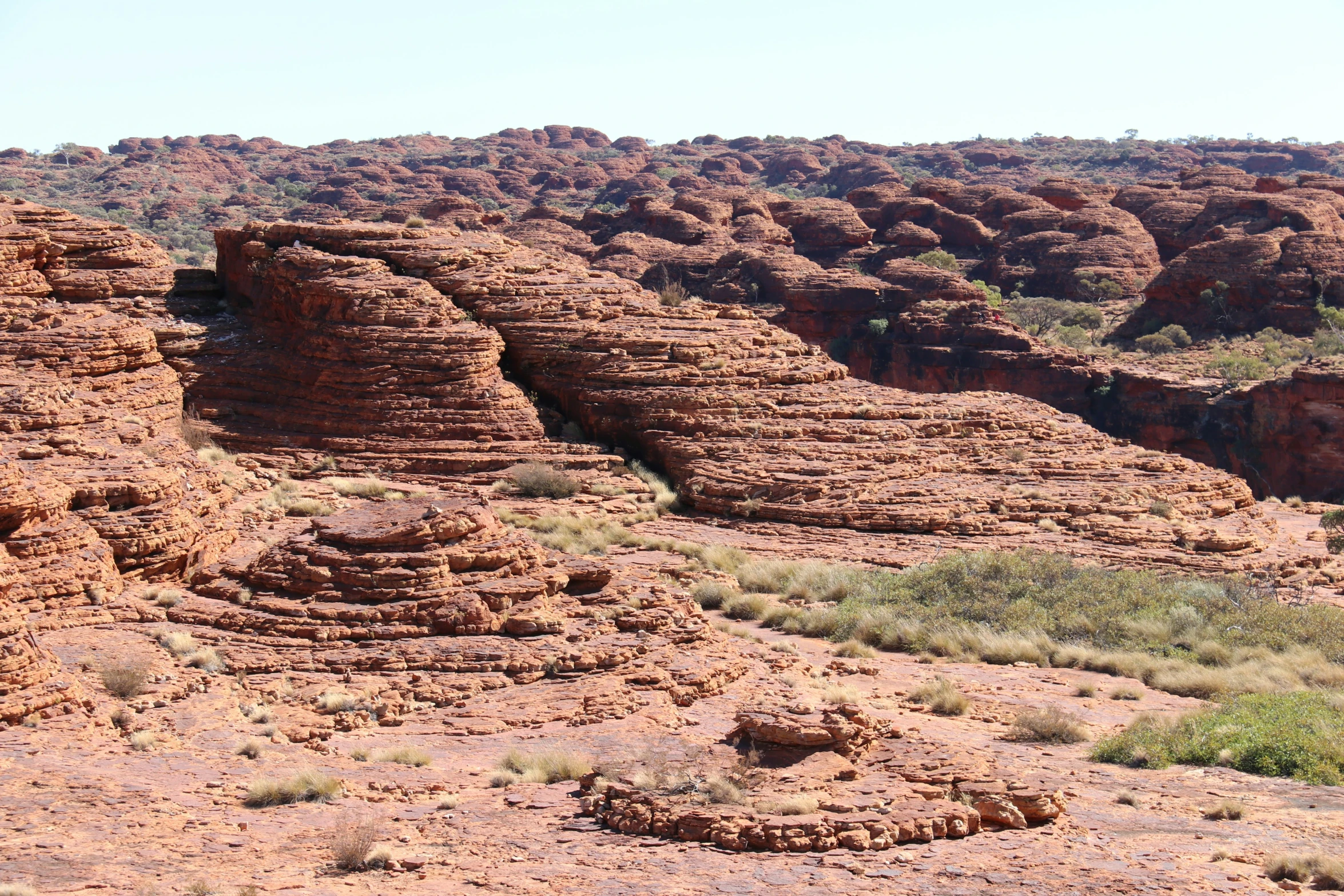 rock formations are in the desert with green plants