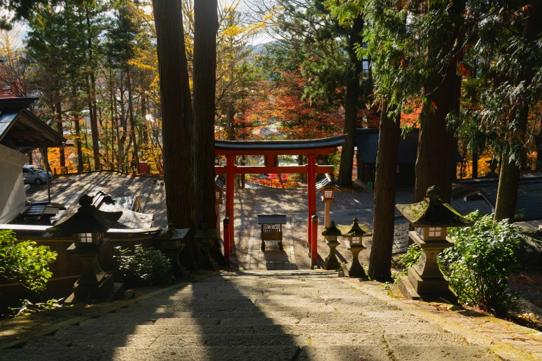 the path to the shrine is made of wooden steps