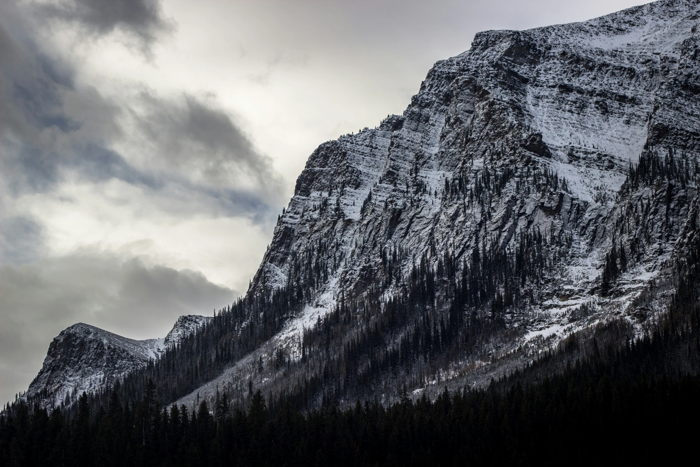 a snow covered mountain sits behind some trees