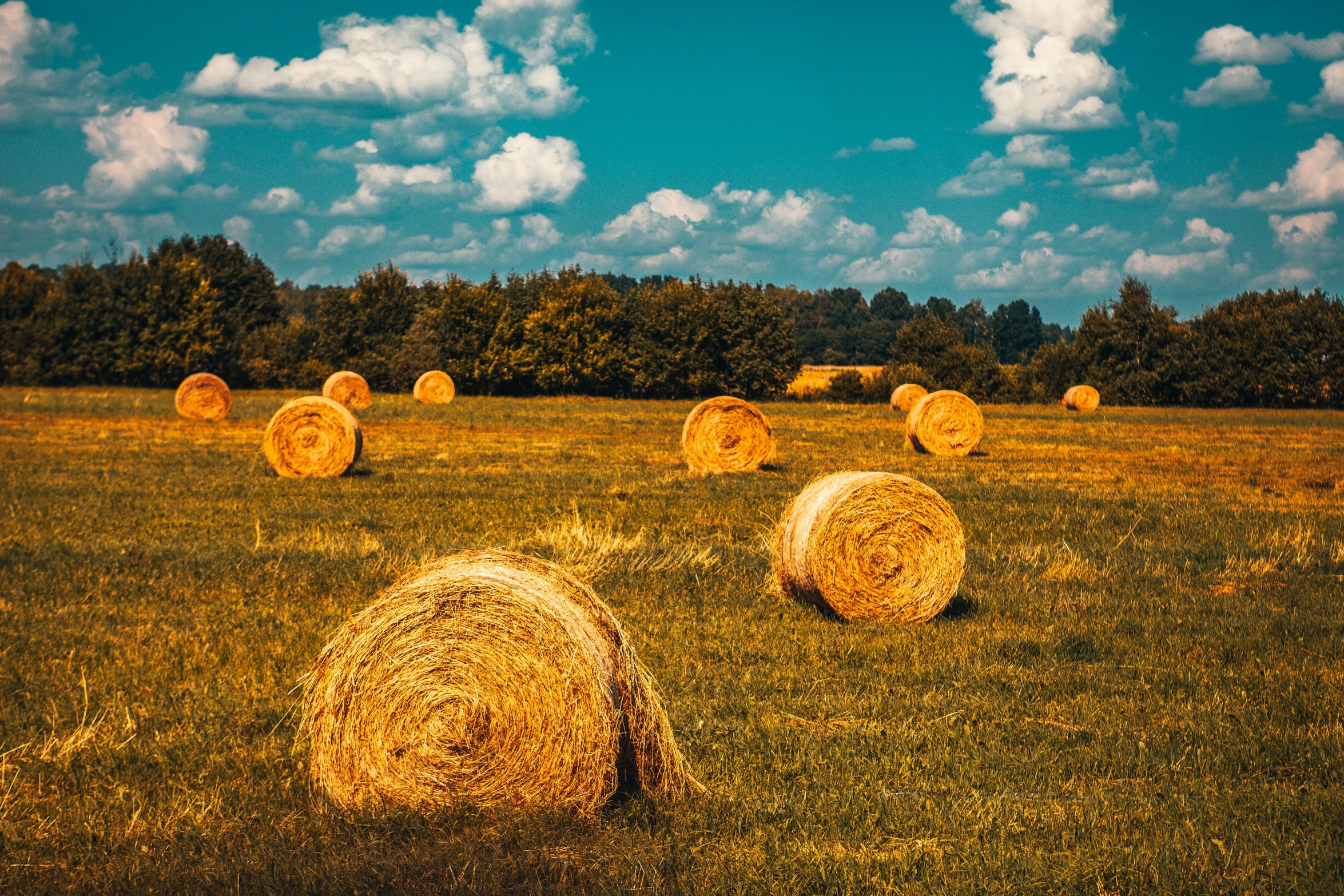 a field with hay bales in it on a sunny day