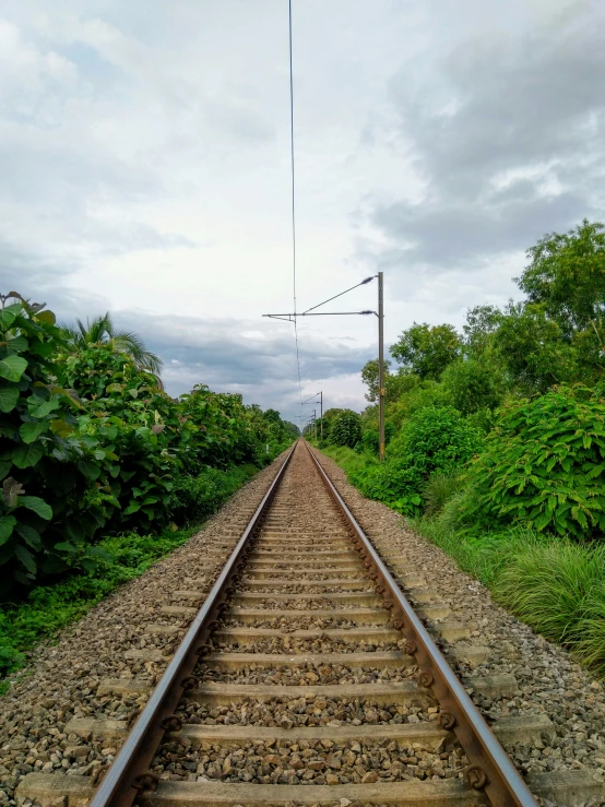 a train track near trees on a cloudy day