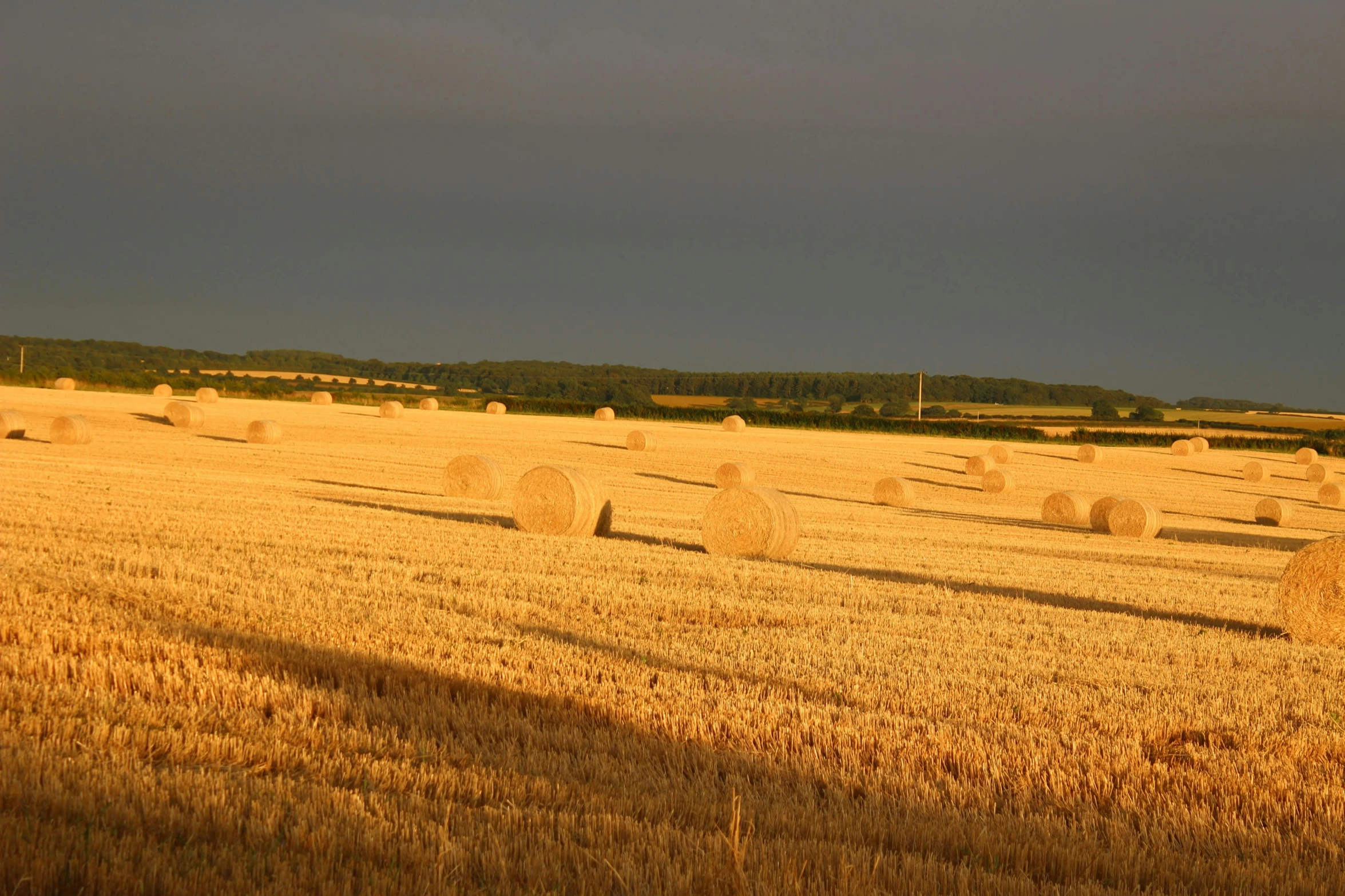 hay bales in a field under a dark sky