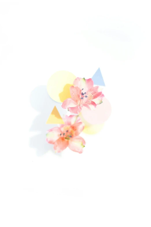 flowers against a white background with a triangle