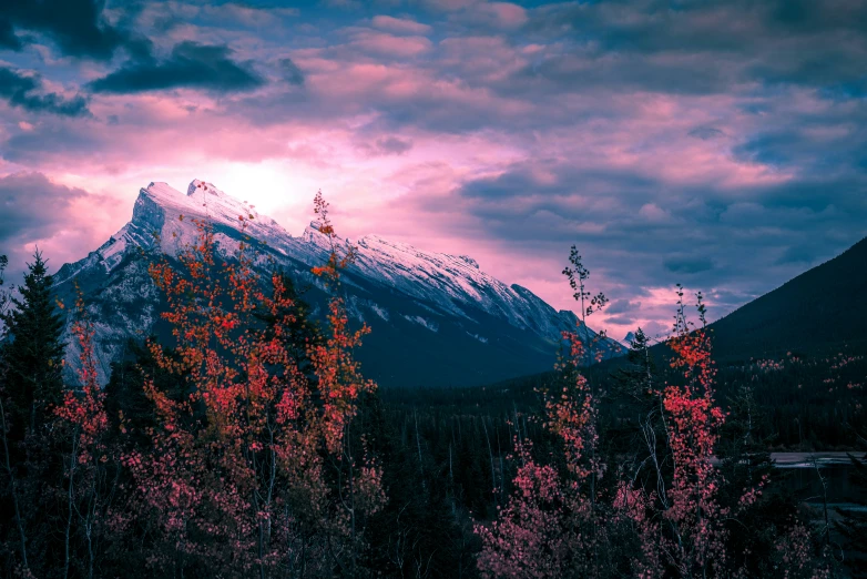 a view of the mountains with trees and shrubs