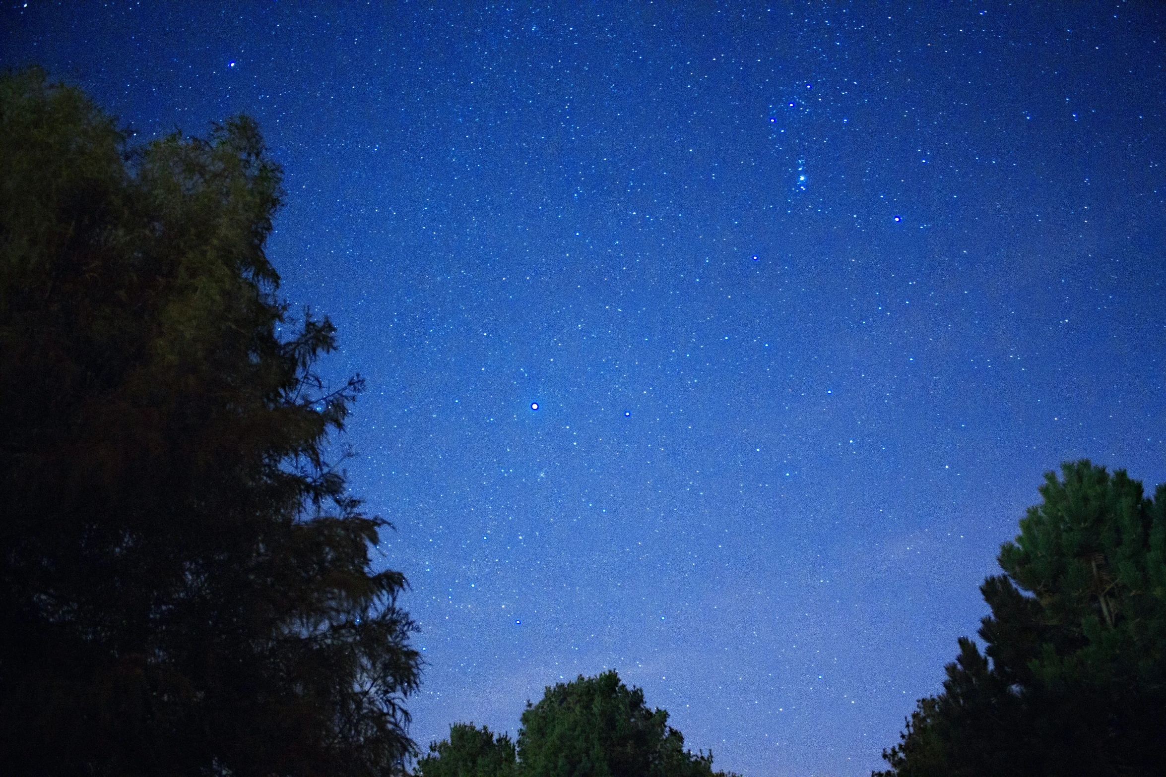 a view of a street at night with trees and lights