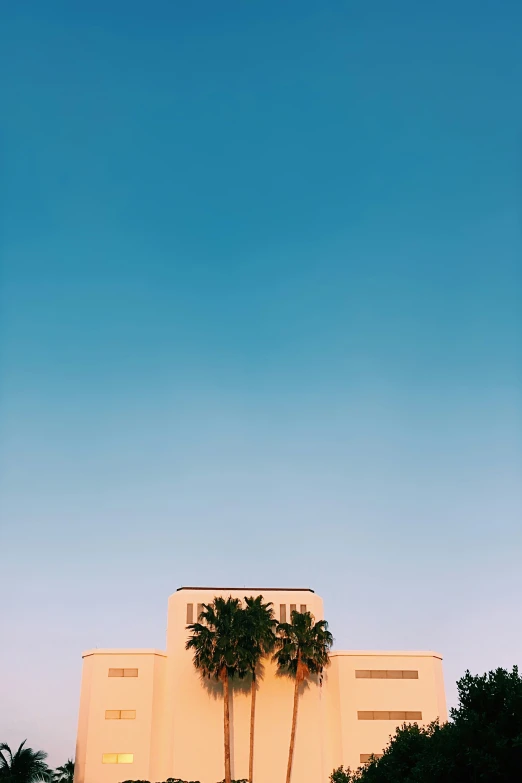 a view of a building with palm trees in front of it