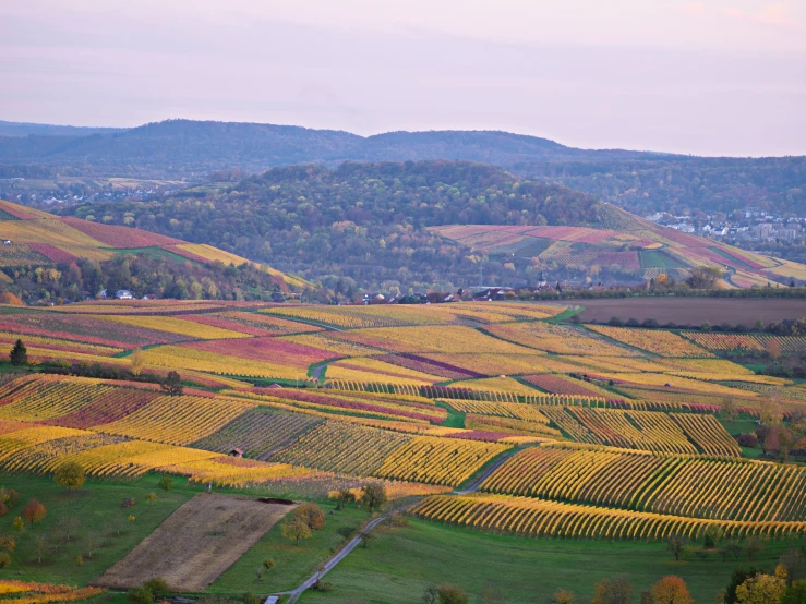 landscape of fields with flowers, trees and small towns below