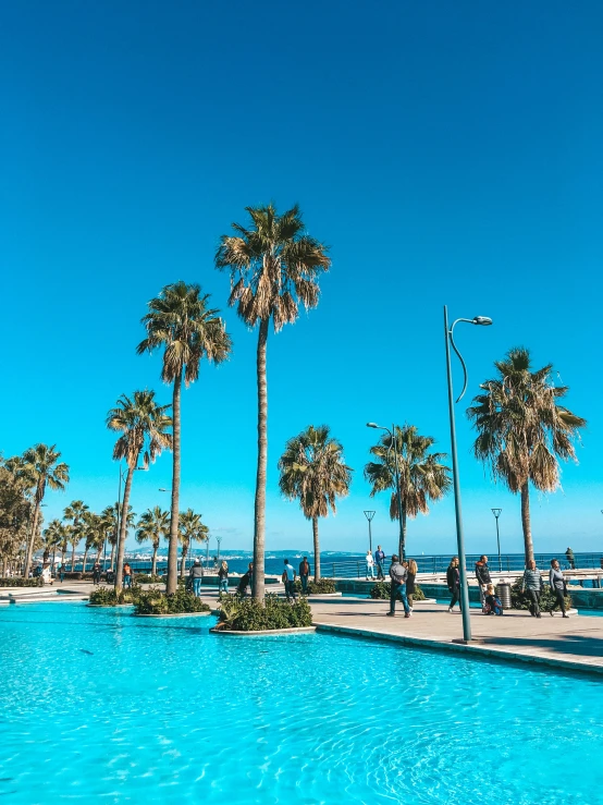 palm trees in front of a pool and beach