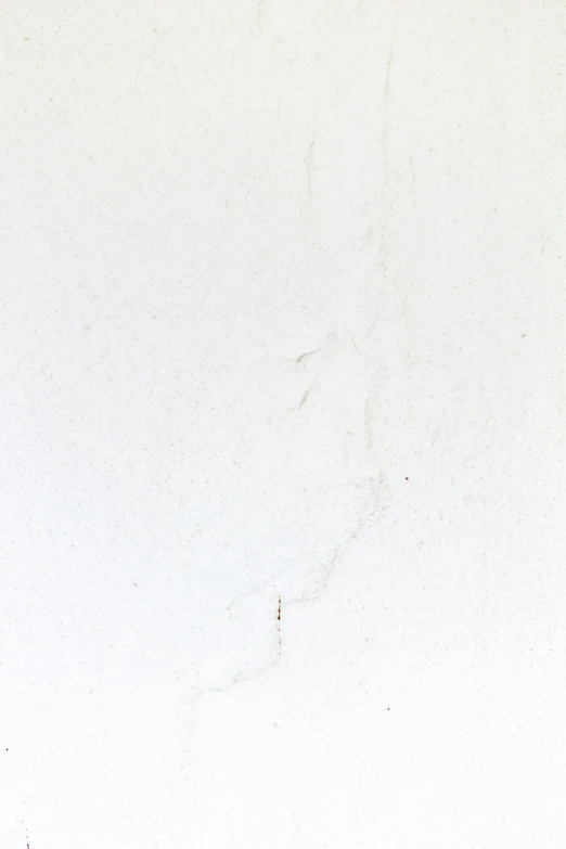 a white plane flying over a white background