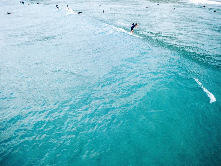 a surfer on his surfboard is out in the water