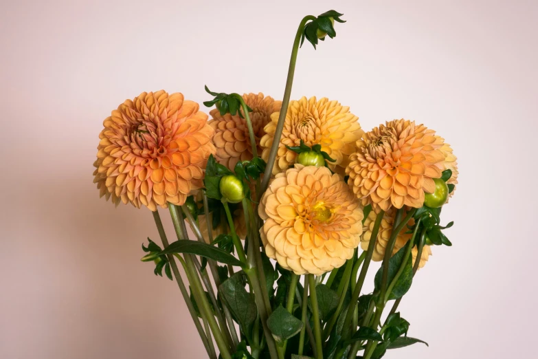 a bunch of yellow flowers on display in a vase