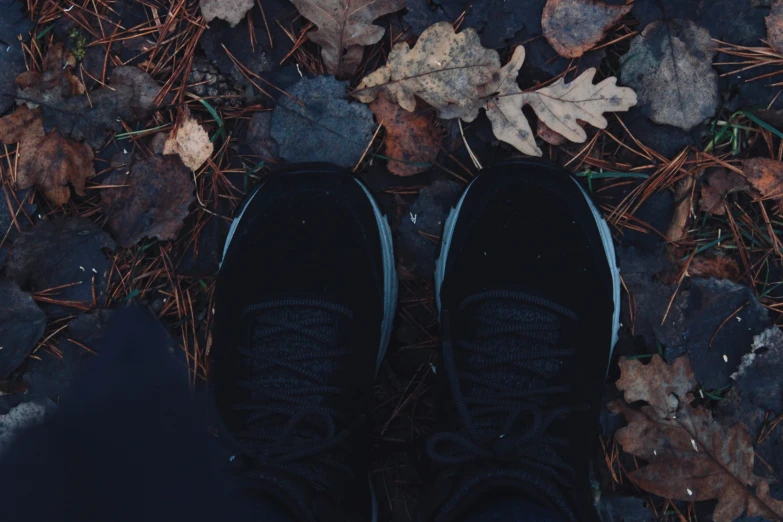 black sneaker shoes placed on the ground with leaves