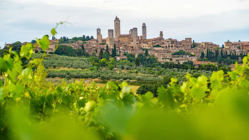 the medieval village in an ancient region with tall buildings on top of a hill