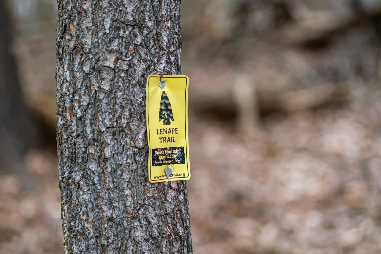 a warning sign in front of a tree