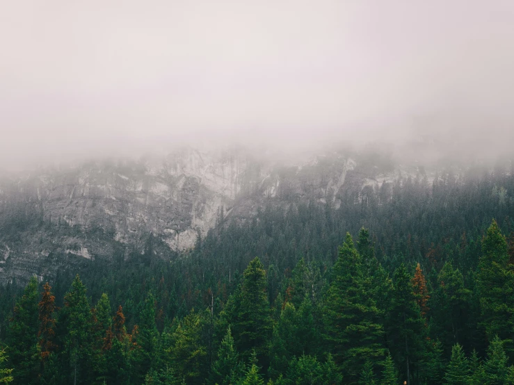 a snow covered mountain is surrounded by trees