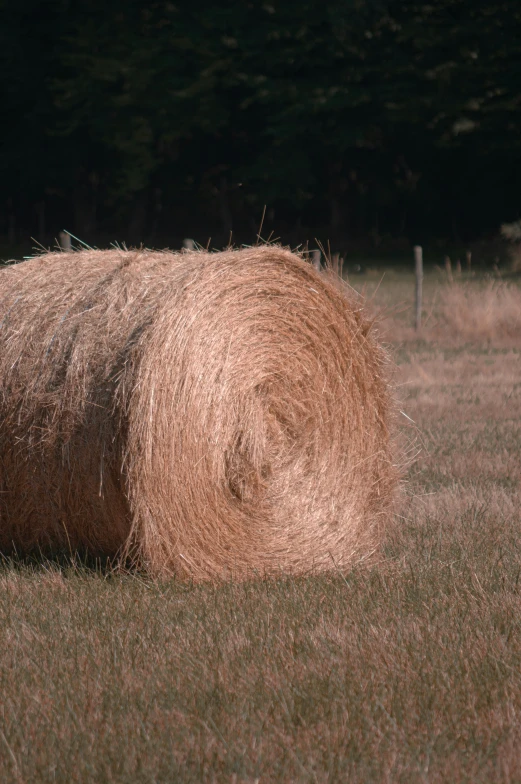 a hay ball is shown on the ground