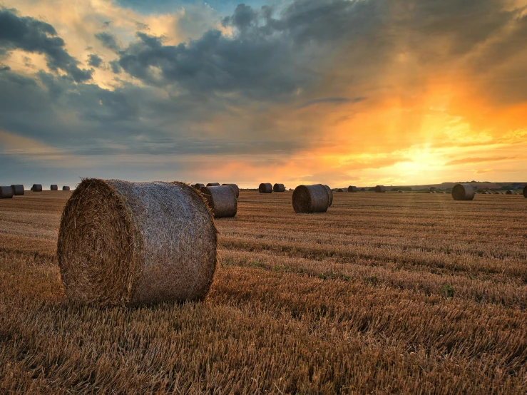 a field full of hay bales in front of a cloudy sunset