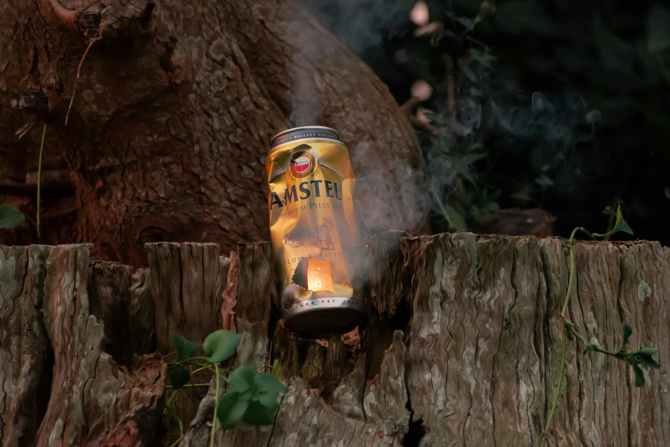 a can of alegra sits on a wooden log