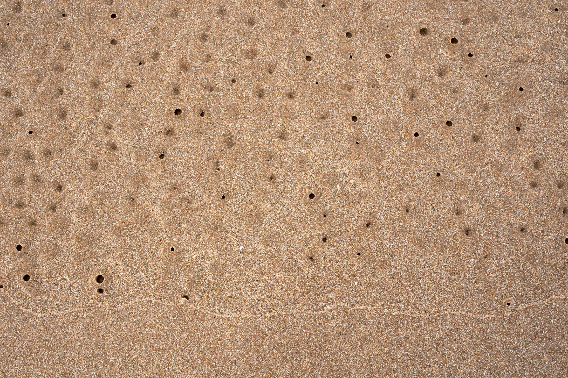 the sand is covered with tiny black dots