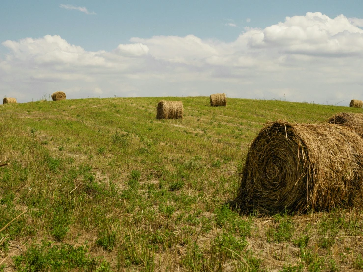 a large bale of hay sitting in a grass field