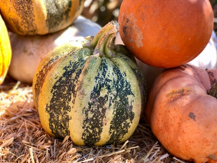 several orange and yellow pumpkins are stacked on top of each other
