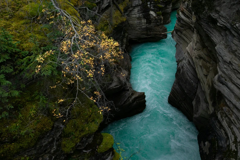 this is a canyon with a river running through it