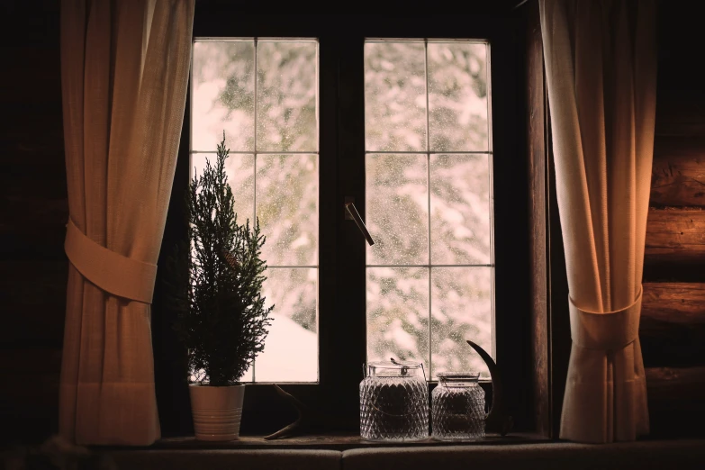 window with glass panes on outside and a potted plant in the corner