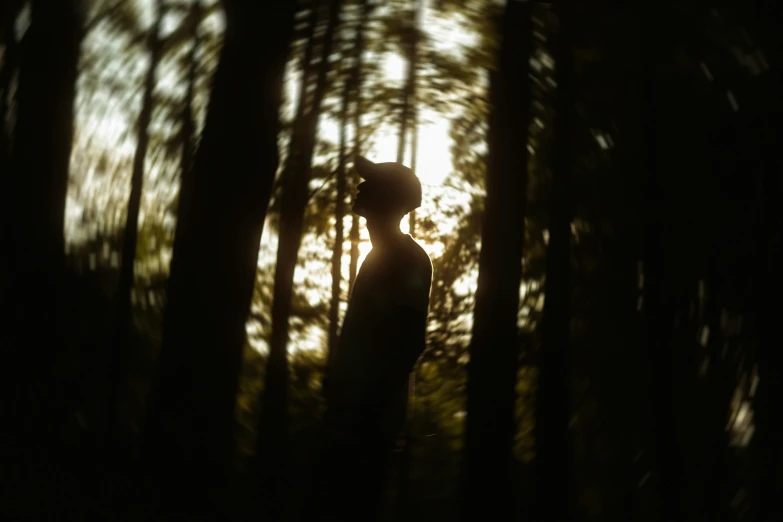 a person standing in a forest at night, holding up the shadow of trees