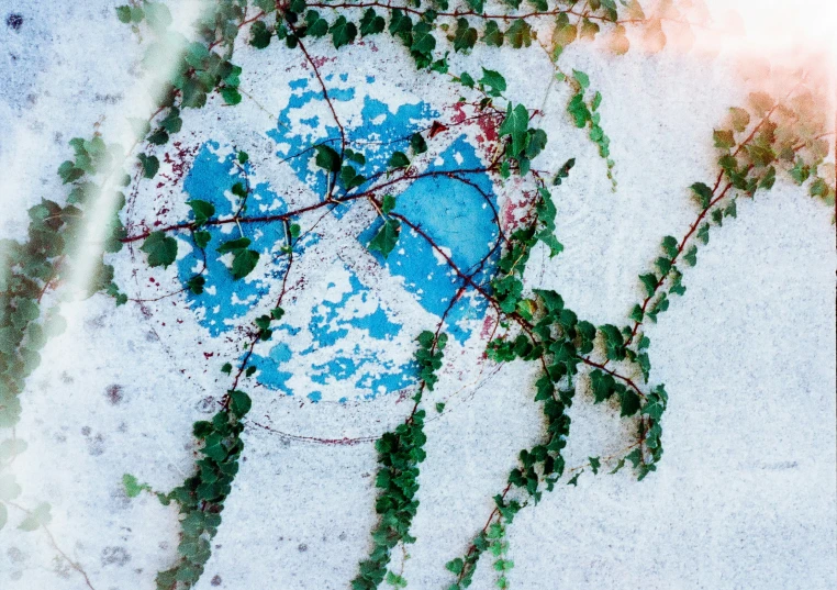 an overhead s of a snow covered ground with trees