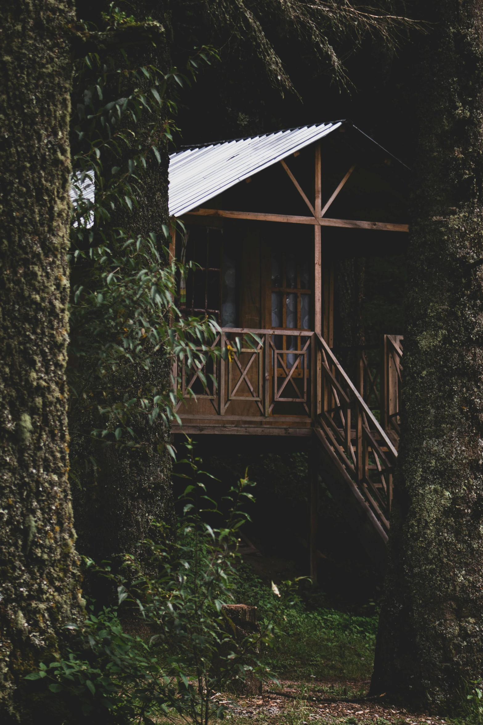 a small cabin perched in a forest on the side of a hill