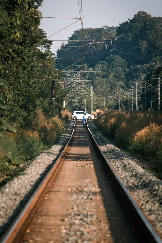 a train is on the tracks between trees and power lines