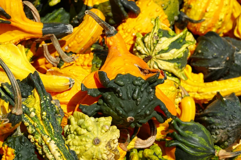 a bunch of yellow and green squash, squash, and cauliflower