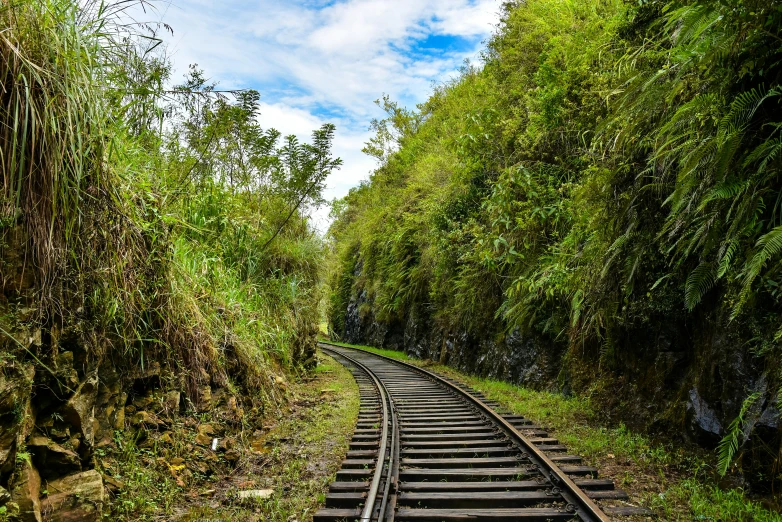 a train track near some grass and a sky