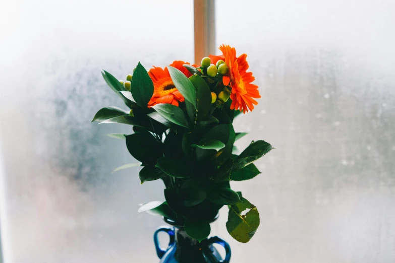 a blue vase filled with orange flowers on top of a table