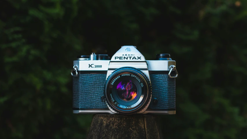 an old camera mounted on top of a tree trunk